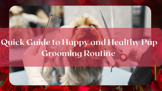 Guide to Following a Good Feeding Routine for Pups