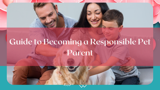 Guide to Becoming a Responsible Pet Parent