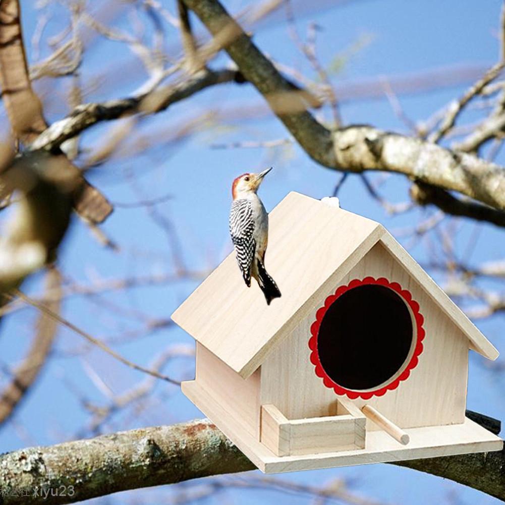 New DIY Small Outdoor Wooden Bird House