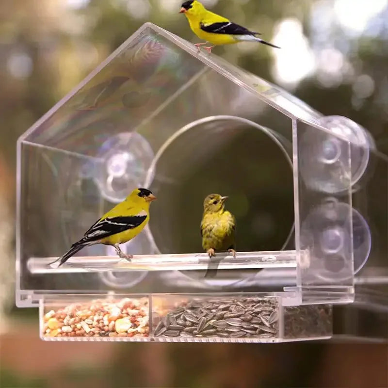 Transparent Acrylic Window Bird Feeder with Strong Suction Grip