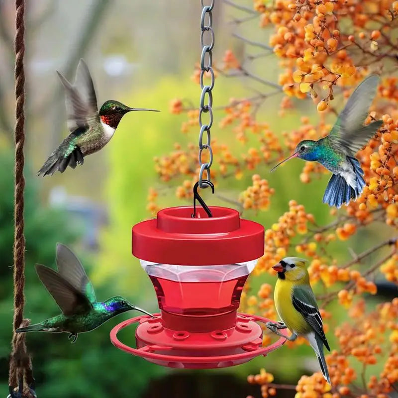 Outdoor Hanging Hummingbird Feeders