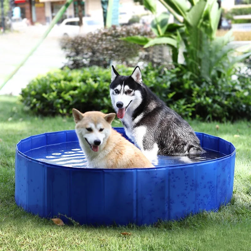 Dog Bathing & Swimming Pool for Pets & Kids
