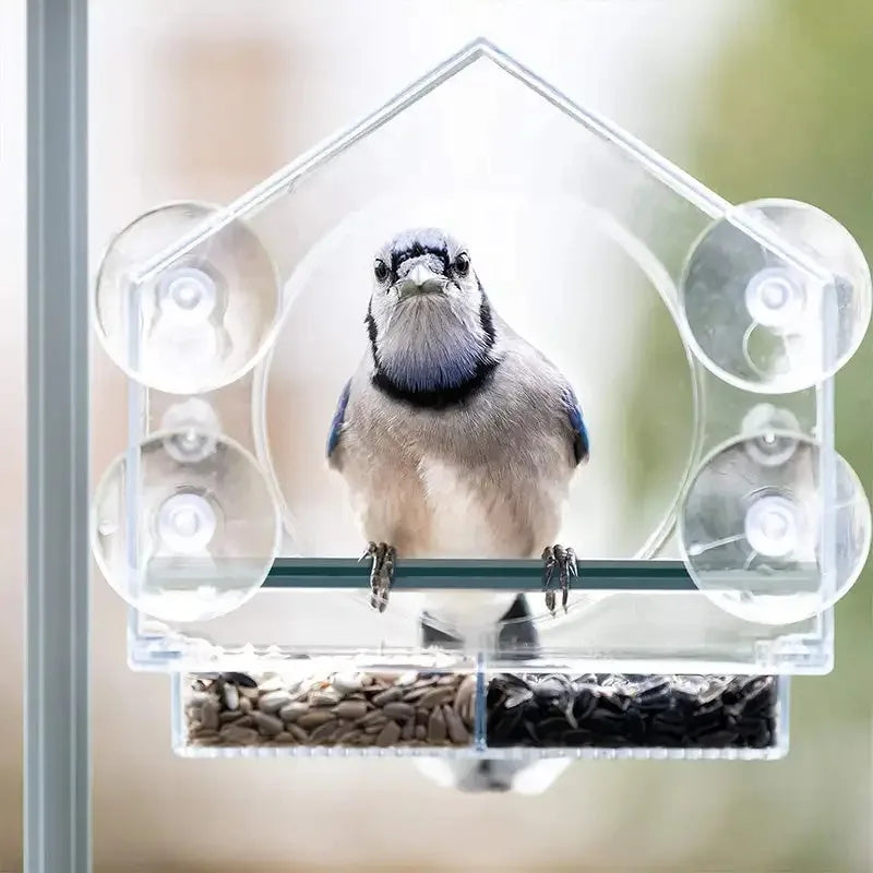 Transparent Acrylic Window Bird Feeder with Strong Suction Grip