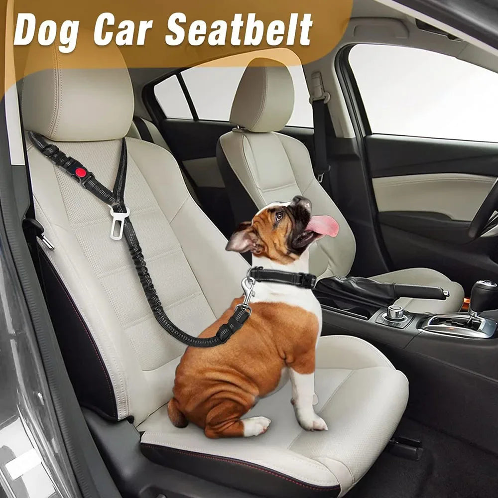 3in1 Reflective Head Rest Dog Seat Belt and Leash