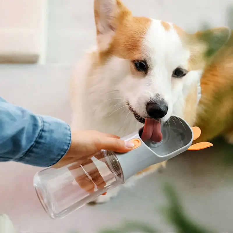 Portable Drinking Dog Water Bottle & Bowl