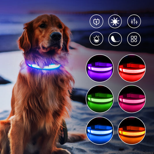 MASBRILL Light Up Dog Collar Waterproof with USB Charging