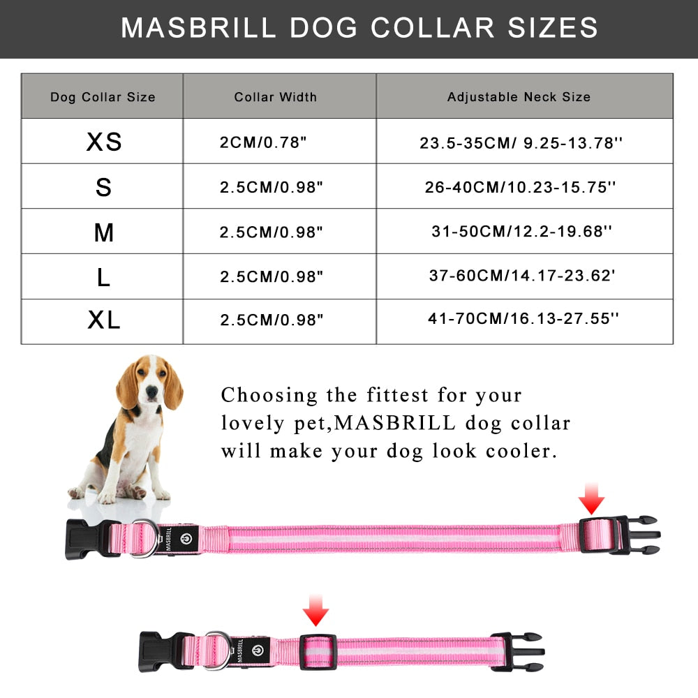 MASBRILL Luminous Glowing Night Safety Pet Dog Collar USB Rechargeable