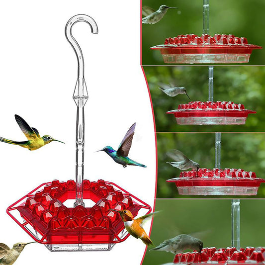 Hummingbird Feeder with Built-In Ant Moat