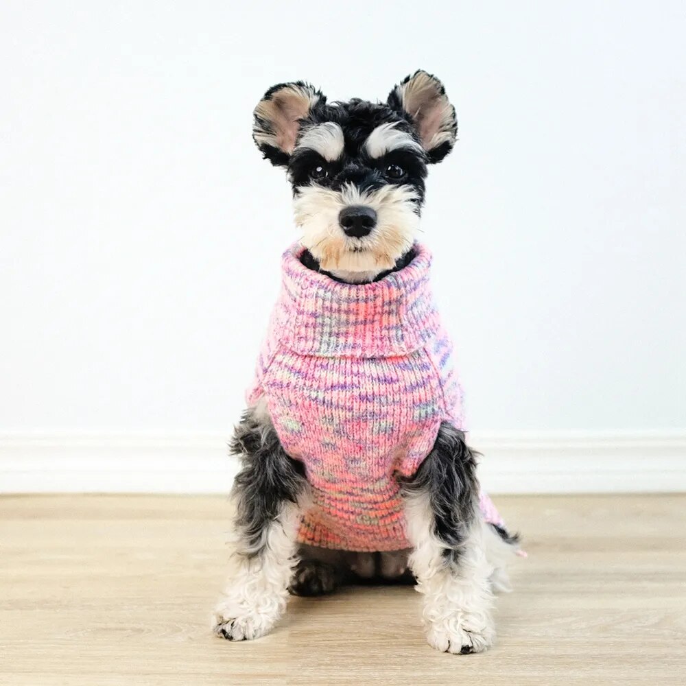 Cute Classic Turtleneck Dog Sweater