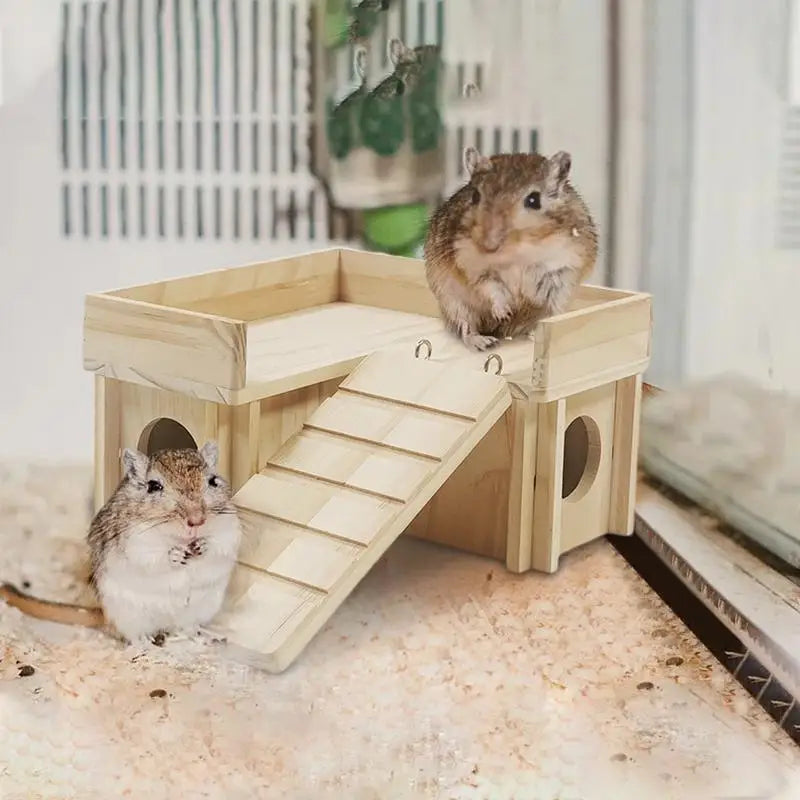Wooden Hamster House with Climbing Ladder