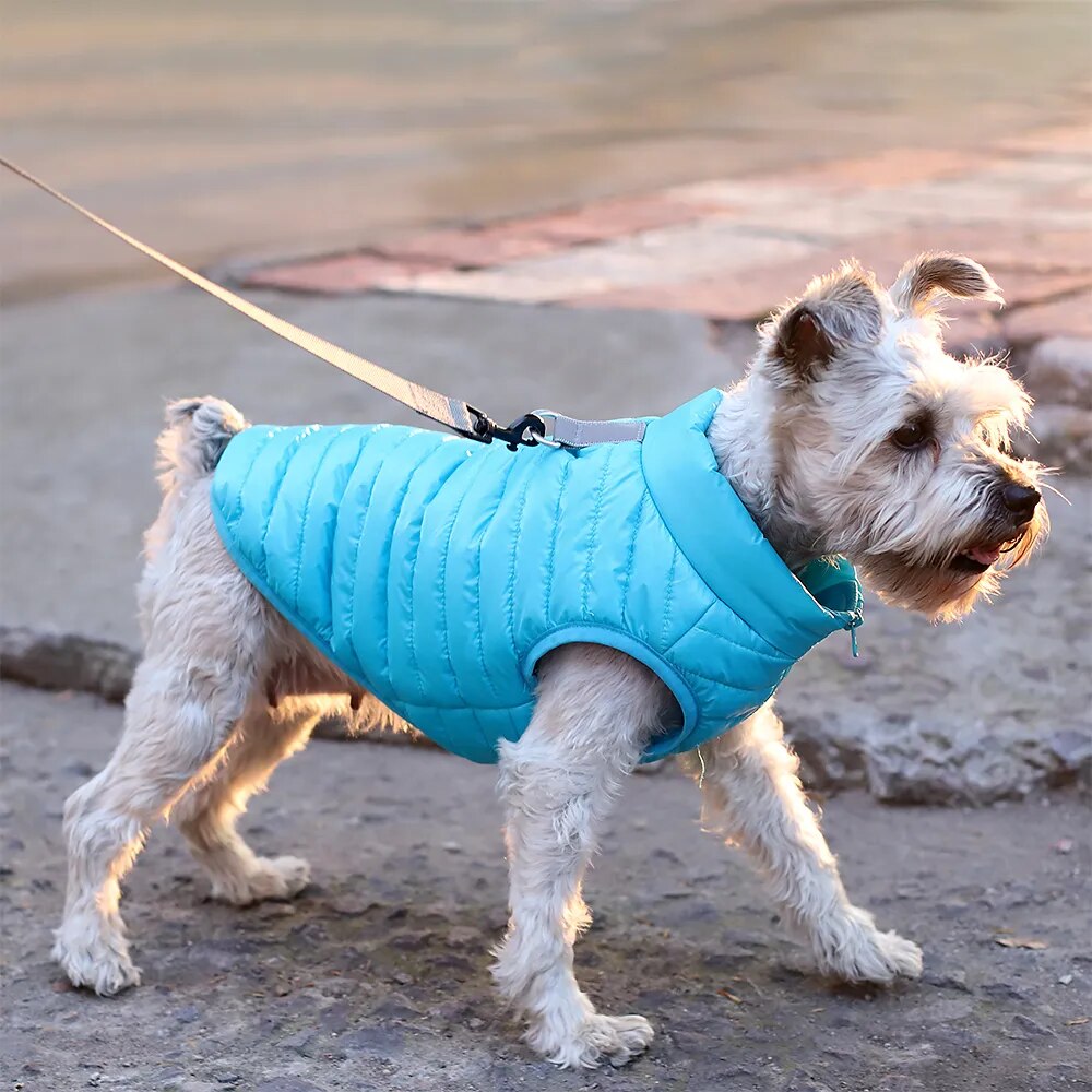 Warm Durable Waterproof Zipper Winter Dog Jackets