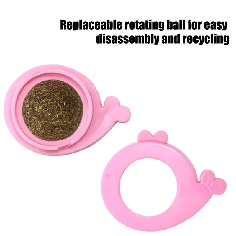 Safe Healthy Catnip Ball