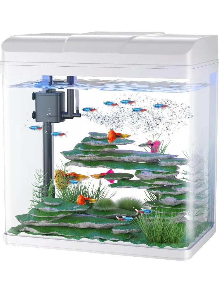 Small Fish Tank with Air Pump, LED Cool Lights