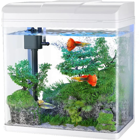 Small Fish Tank with Air Pump, LED Cool Lights