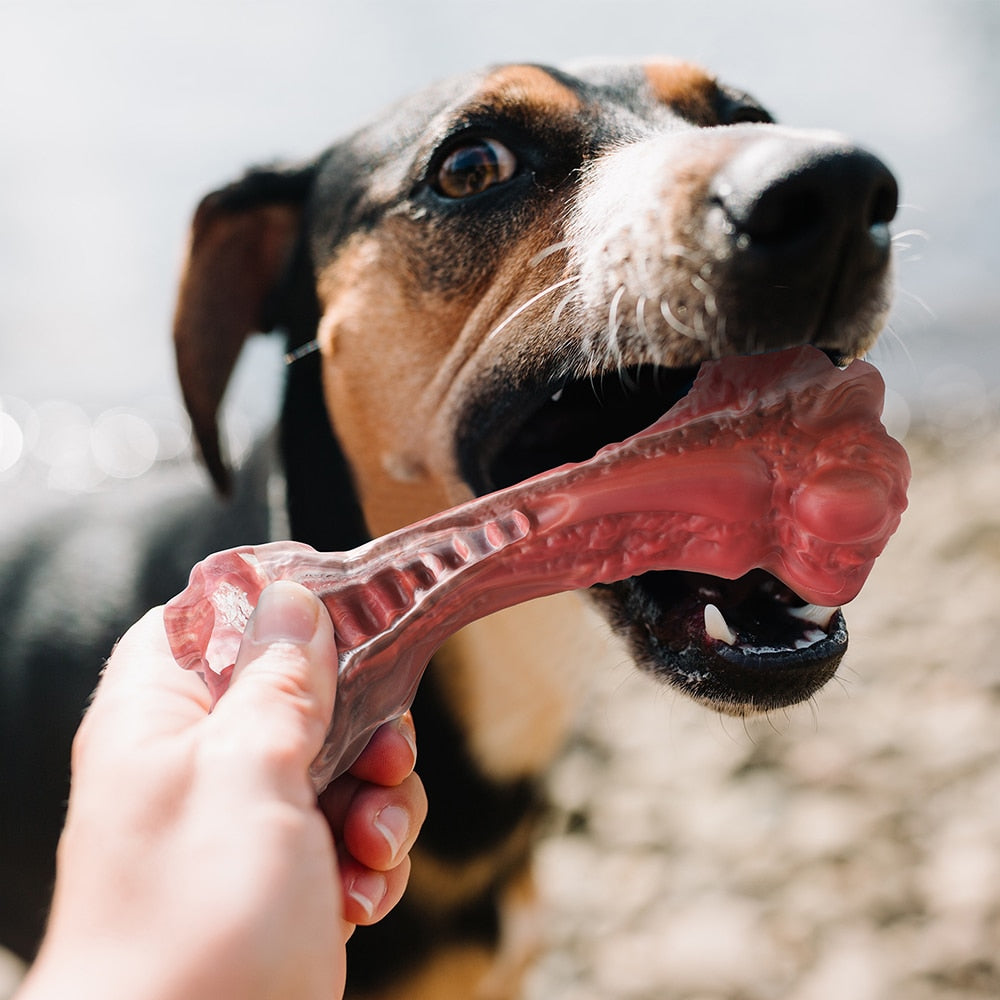 MASBRILL Aggressive Chewers Large Dogs Bone-Shaped Toy